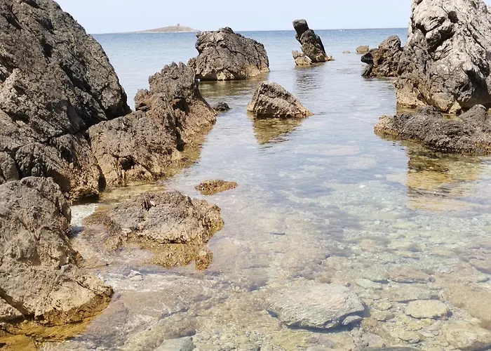 Apartment Ovidio Palermo