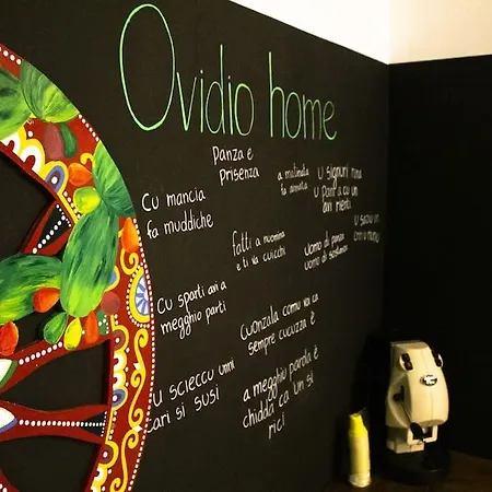 公寓 Ovidio 巴勒莫